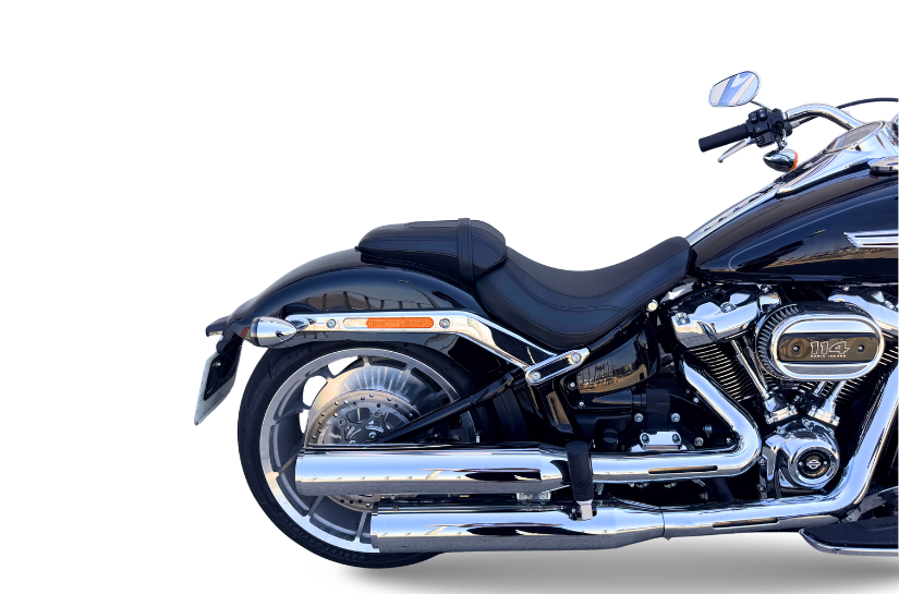 2022 Sportster S